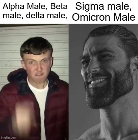 beta meme,alfa matheus